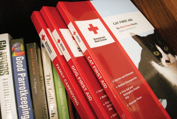 American Red Cross : creating safety and emergency preparedness products
