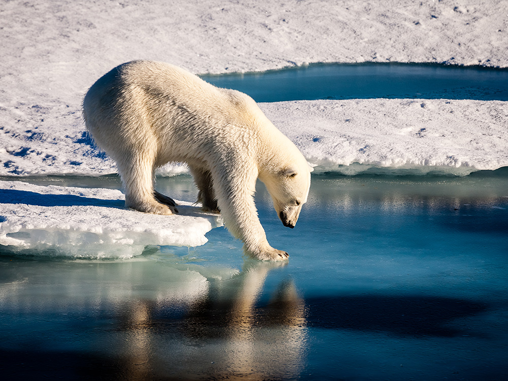 Lindblad Expeditions : inviting guests to learn facts about the ice vessel and science of polar region exploration