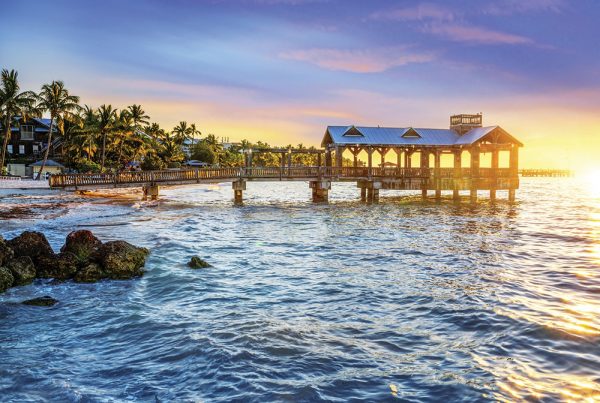 Margaritaville : logo system options that allow customization for a range of applications and product categories