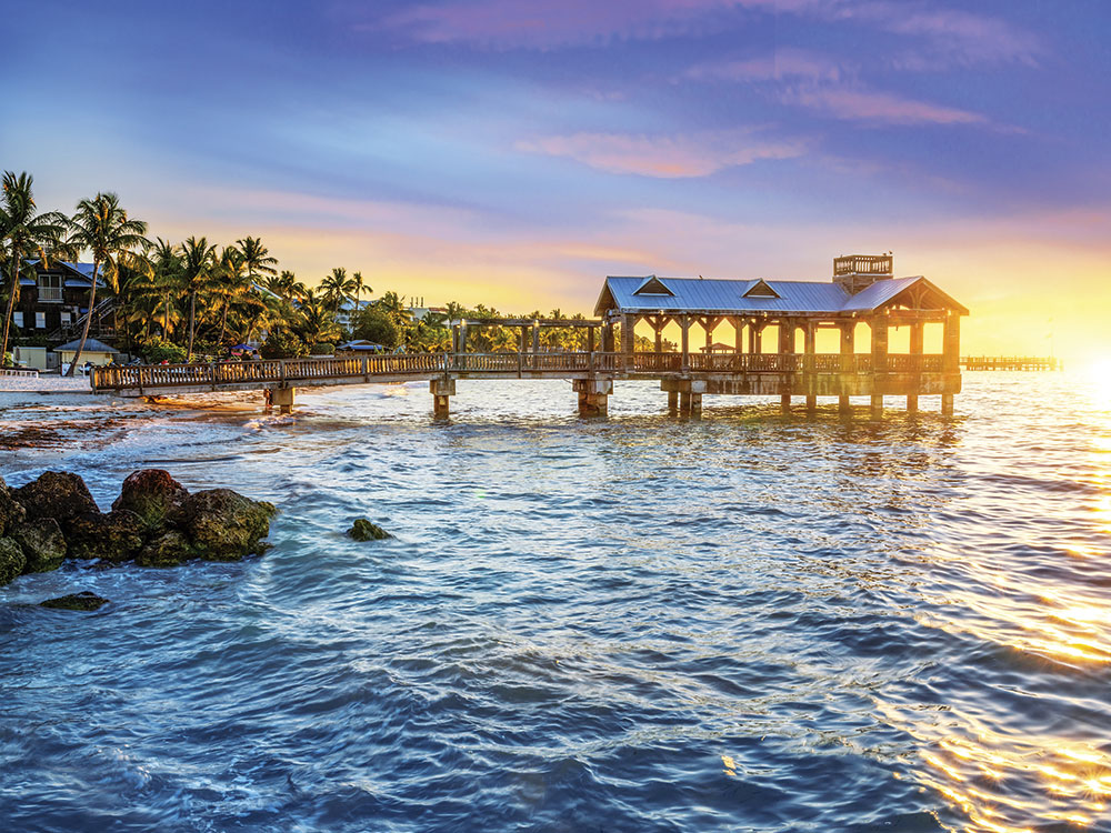 Margaritaville : logo system options that allow customization for a range of applications and product categories