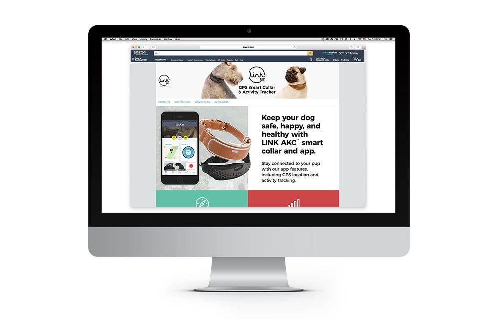 LINK AKC Amazon Storefront Design