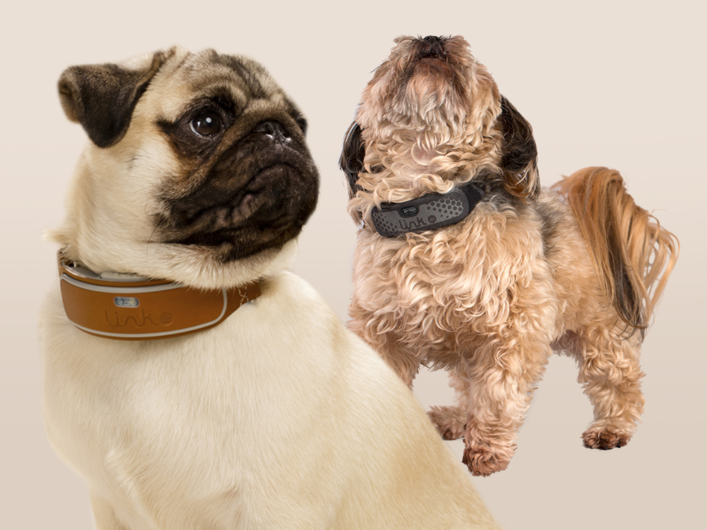 LINK AKC : driving sales and increasing online traffic and engagement
