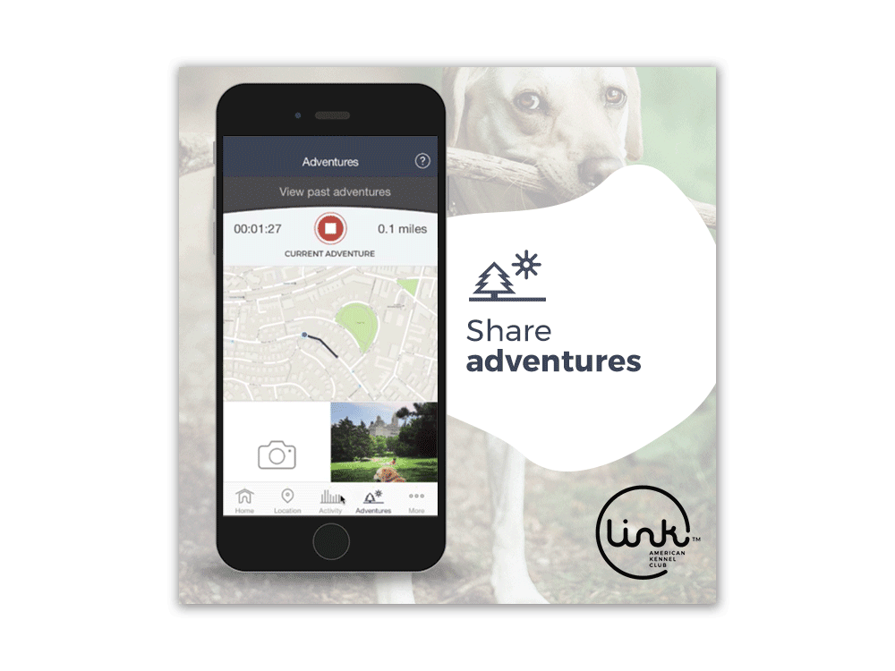 LINK AKC Social Media Advertising