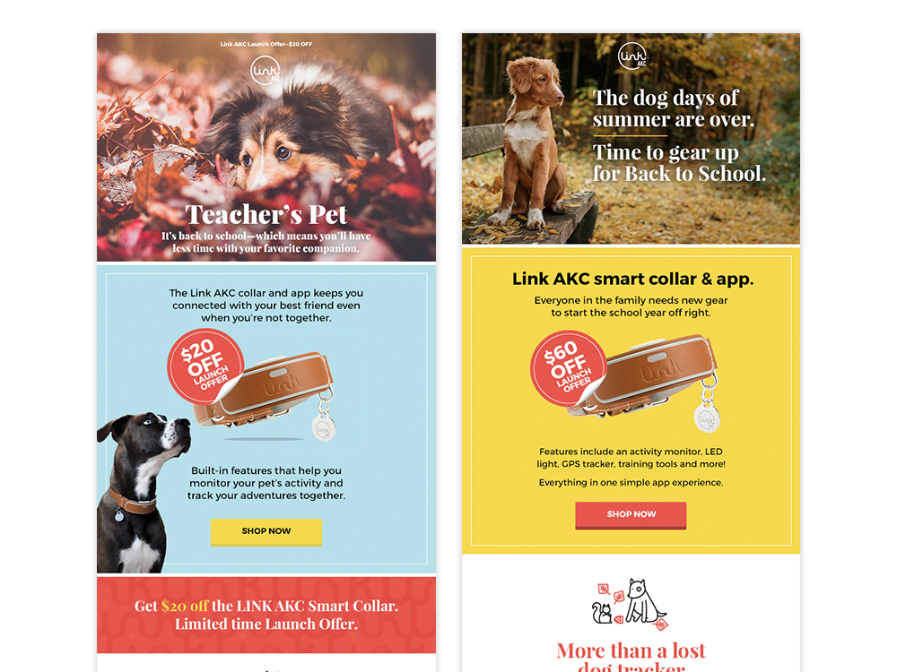 LINK AKC Promotional Email