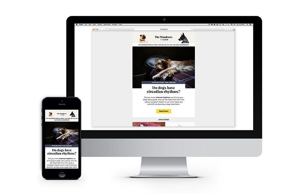 LINK AKC Wanderer Newsletter